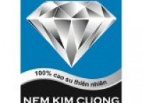 Nệm Kim Cương lập kỷ lục guinness gây quỹ từ thiện